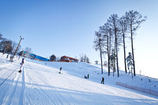 Make Your Winter Exciting In Gauja National Park