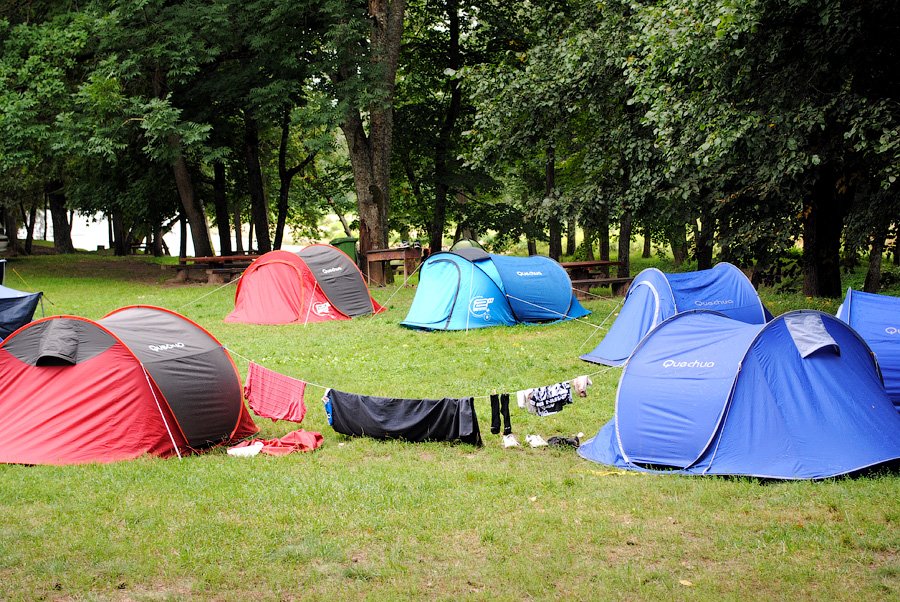 Camping site. Кемпинги. Палаточный городок в лагере Подмосковье. Классный кемпинг лагерь. Кемпинг Ульяновск палатки.