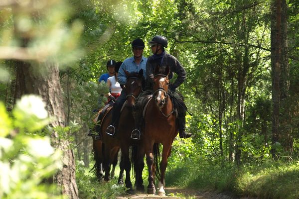 AdventureRide equestrian horseback riding vacations