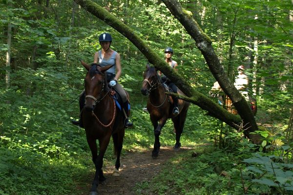 AdventureRide horseback riding vacations